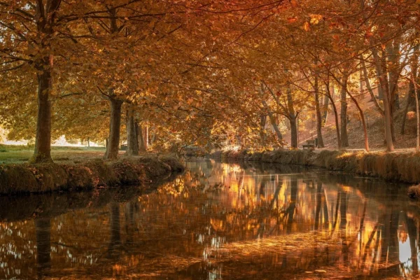 Erros de Arbitragem no Empate entre Cruzeiro e Internacional: Uma Análise Detalhada