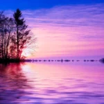 A Noite de Gala de Hulk na Vitória do Atlético-MG Contra o Fluminense