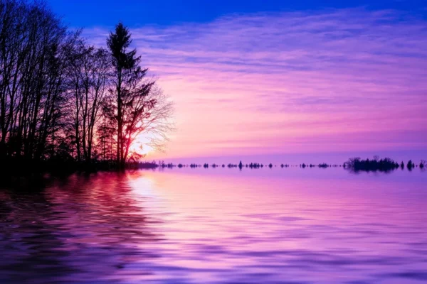 A Noite de Gala de Hulk: Atlético-MG Brilha na Vitória Contra o Fluminense